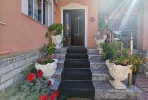 Oasis, Korçë